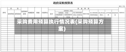 采购费用预算执行情况表(采购预算方案)