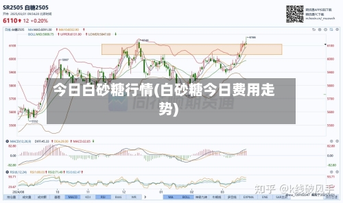 今日白砂糖行情(白砂糖今日费用走势)