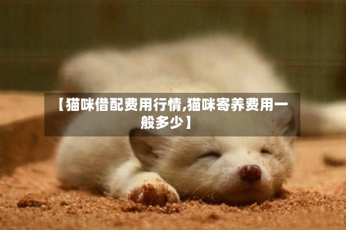 【猫咪借配费用行情,猫咪寄养费用一般多少】