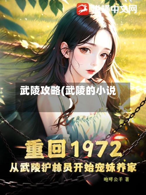 武陵攻略(武陵的小说)