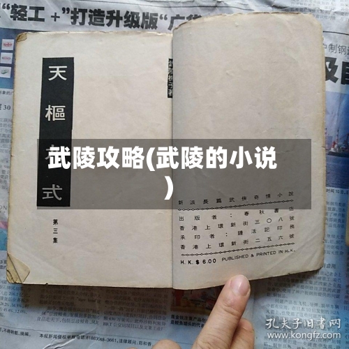 武陵攻略(武陵的小说)-第2张图片