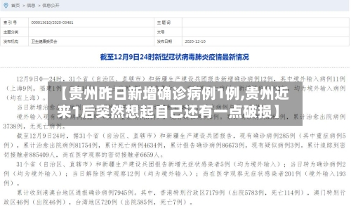 【贵州昨日新增确诊病例1例,贵州近来1后突然想起自己还有一点破损】-第2张图片