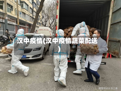 汉中疫情(汉中疫情蔬菜配送)