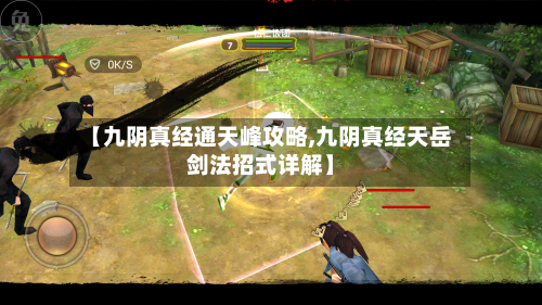 【九阴真经通天峰攻略,九阴真经天岳剑法招式详解】
