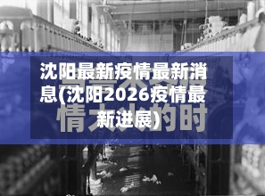 沈阳最新疫情最新消息(沈阳2026疫情最新进展)-第3张图片