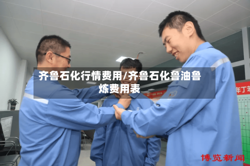 齐鲁石化行情费用/齐鲁石化鲁油鲁炼费用表-第3张图片