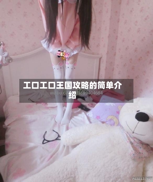 工口工口王国攻略的简单介绍-第3张图片