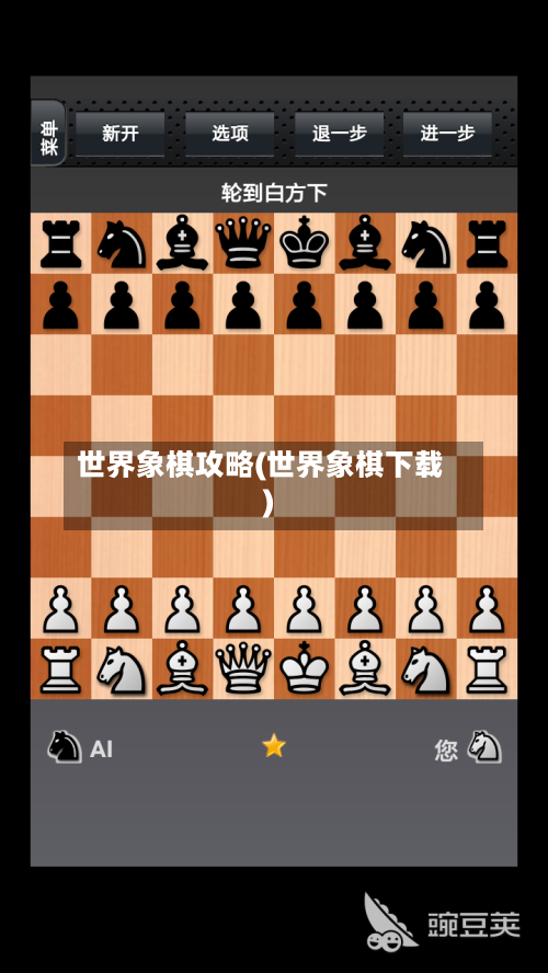 世界象棋攻略(世界象棋下载)