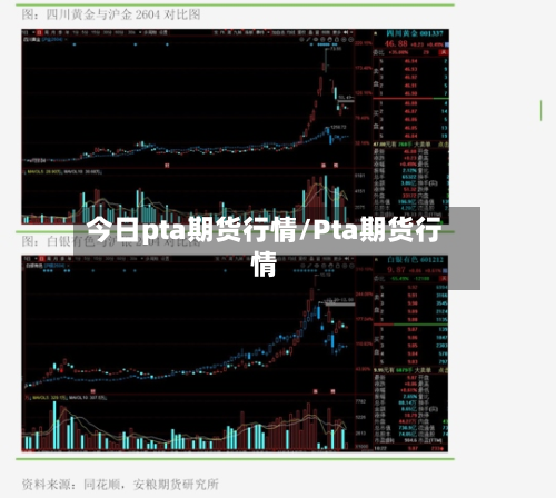 今日pta期货行情/Pta期货行情-第2张图片