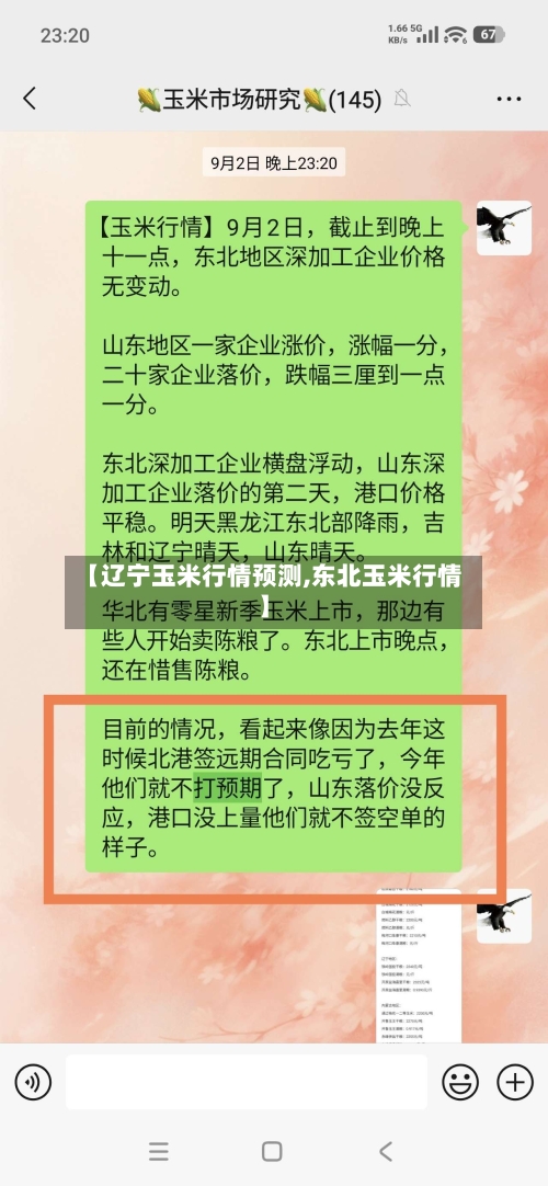 【辽宁玉米行情预测,东北玉米行情】