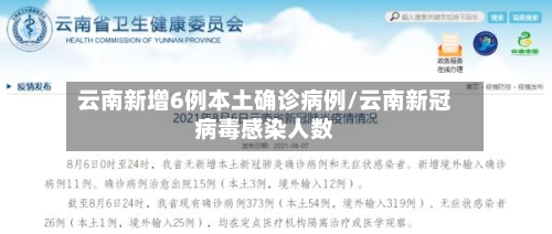 云南新增6例本土确诊病例/云南新冠病毒感染人数