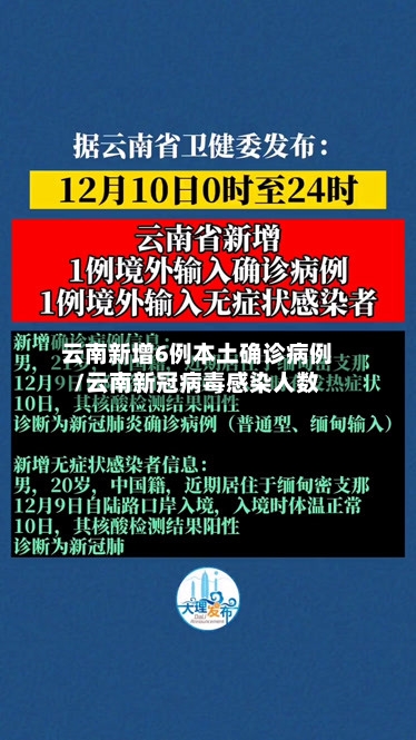 云南新增6例本土确诊病例/云南新冠病毒感染人数-第3张图片
