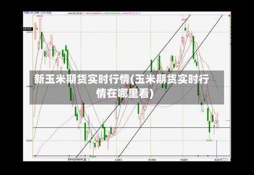 新玉米期货实时行情(玉米期货实时行情在哪里看)