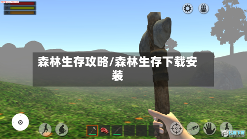 森林生存攻略/森林生存下载安装