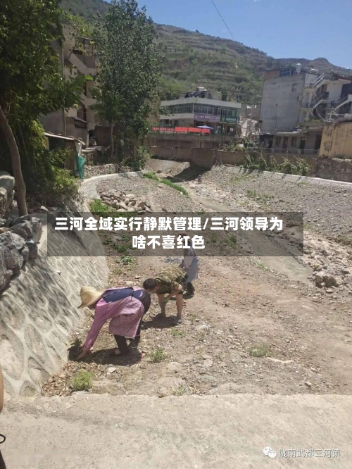 三河全域实行静默管理/三河领导为啥不喜红色