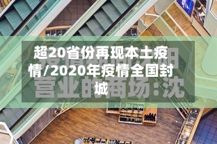 超20省份再现本土疫情/2020年疫情全国封城