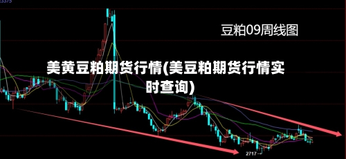 美黄豆粕期货行情(美豆粕期货行情实时查询)