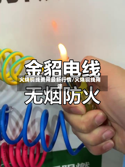 火烧铜线费用最新行情/火烧铜线用途-第2张图片