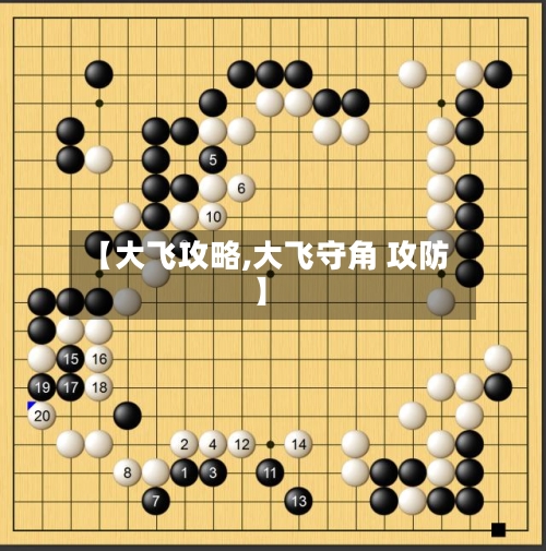 【大飞攻略,大飞守角 攻防】-第2张图片