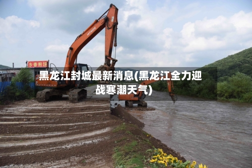 黑龙江封城最新消息(黑龙江全力迎战寒潮天气)