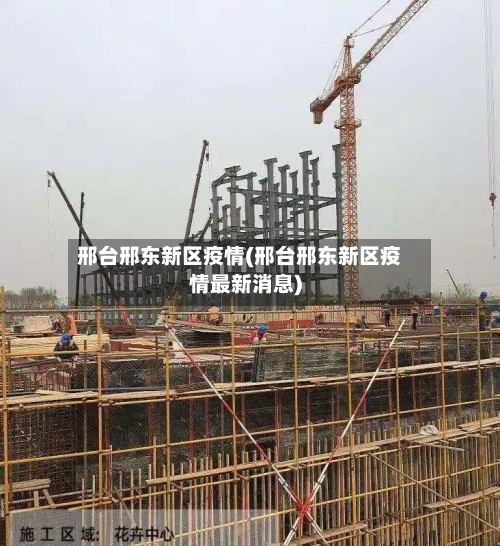 邢台邢东新区疫情(邢台邢东新区疫情最新消息)-第2张图片