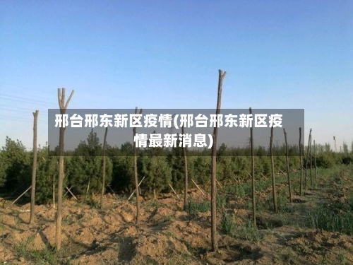 邢台邢东新区疫情(邢台邢东新区疫情最新消息)