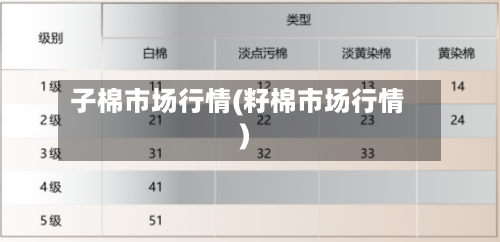 子棉市场行情(籽棉市场行情)