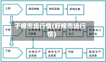 子棉市场行情(籽棉市场行情)-第2张图片