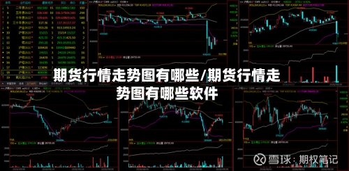 期货行情走势图有哪些/期货行情走势图有哪些软件