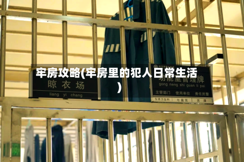 牢房攻略(牢房里的犯人日常生活)