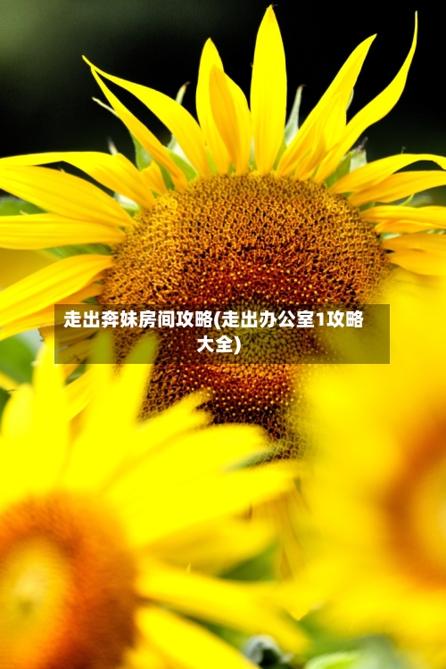 走出奔妹房间攻略(走出办公室1攻略大全)