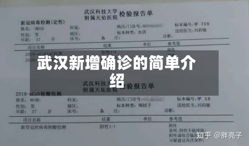 武汉新增确诊的简单介绍-第2张图片