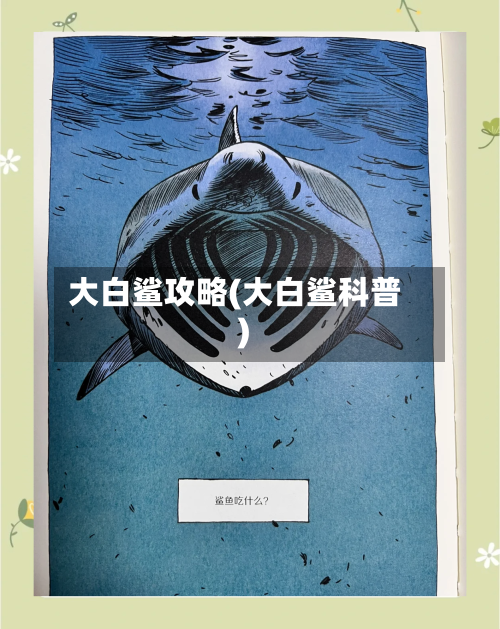大白鲨攻略(大白鲨科普)