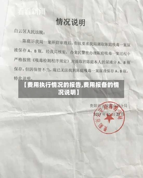 【费用执行情况的报告,费用报备的情况说明】