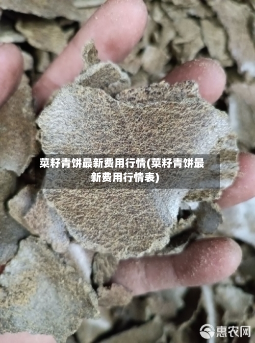 菜籽青饼最新费用行情(菜籽青饼最新费用行情表)
