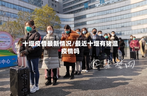 十堰疫情最新情况/最近十堰有猪温疫情吗-第1张图片