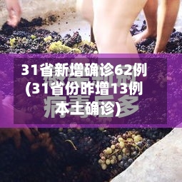 31省新增确诊62例(31省份昨增13例本土确诊)