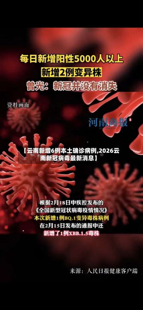 【云南新增6例本土确诊病例,2026云南新冠病毒最新消息】-第2张图片