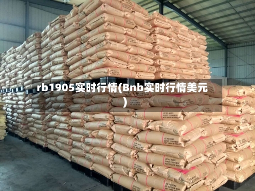 rb1905实时行情(Bnb实时行情美元)