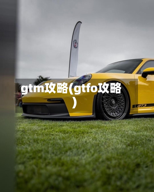 gtm攻略(gtfo攻略)
