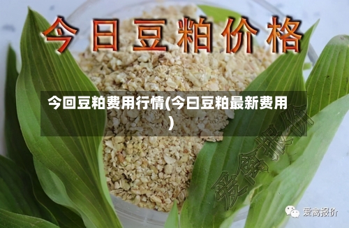 今回豆粕费用行情(今曰豆粕最新费用)-第3张图片
