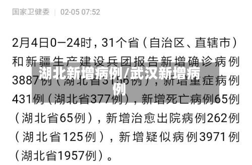 湖北新增病例/武汉新增病例-第2张图片