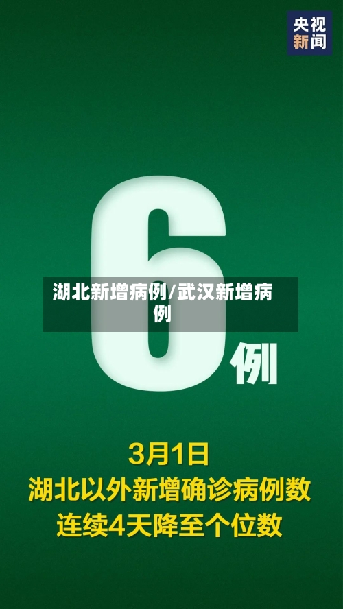 湖北新增病例/武汉新增病例