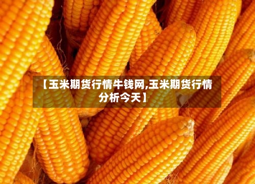 【玉米期货行情牛钱网,玉米期货行情分析今天】