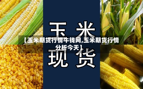 【玉米期货行情牛钱网,玉米期货行情分析今天】-第3张图片