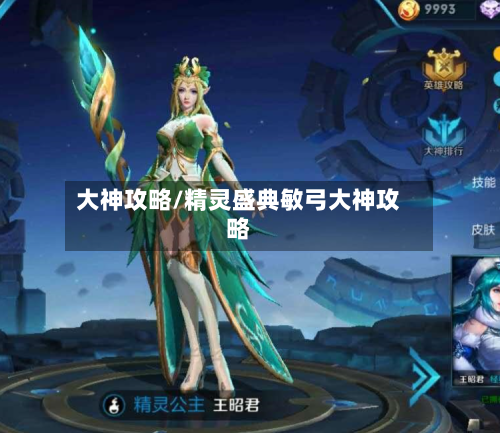 大神攻略/精灵盛典敏弓大神攻略