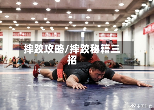 摔跤攻略/摔跤秘籍三招