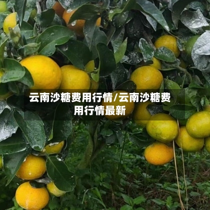 云南沙糖费用行情/云南沙糖费用行情最新