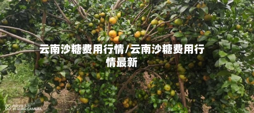 云南沙糖费用行情/云南沙糖费用行情最新-第2张图片
