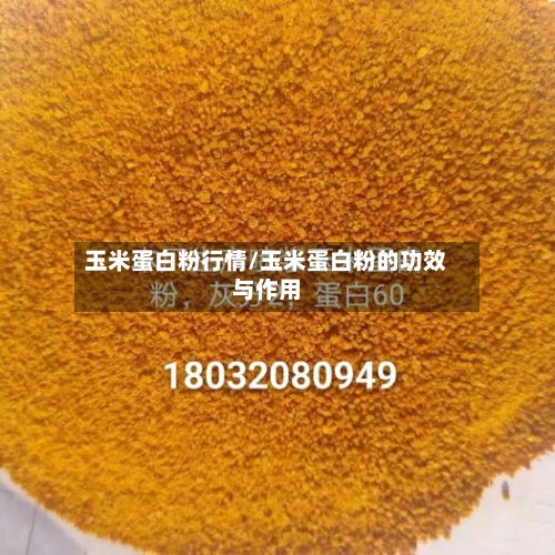 玉米蛋白粉行情/玉米蛋白粉的功效与作用